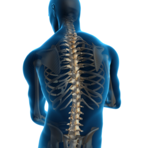 Transforaminal Lumbar Interbody Fusion (tlif) Solutions